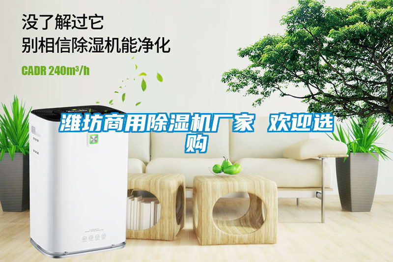 濰坊商用除濕機(jī)廠家 歡迎選購