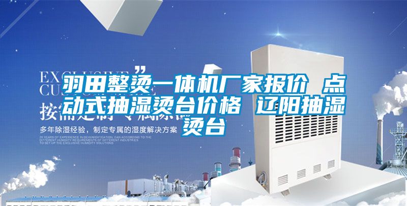 羽田整燙一體機(jī)廠家報價 點動式抽濕燙臺價格 遼陽抽濕燙臺