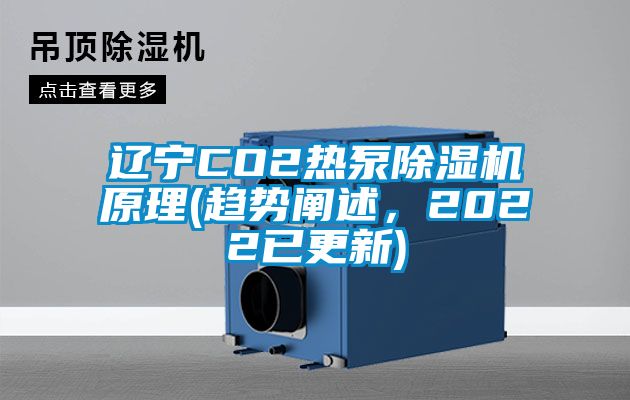 遼寧CO2熱泵除濕機(jī)原理(趨勢(shì)闡述，2022已更新)