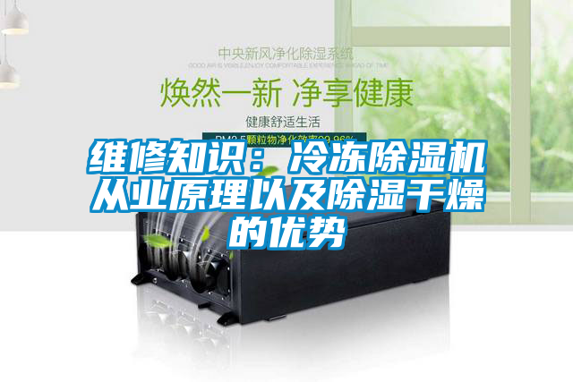 維修知識(shí)：冷凍除濕機(jī)從業(yè)原理以及除濕干燥的優(yōu)勢(shì)