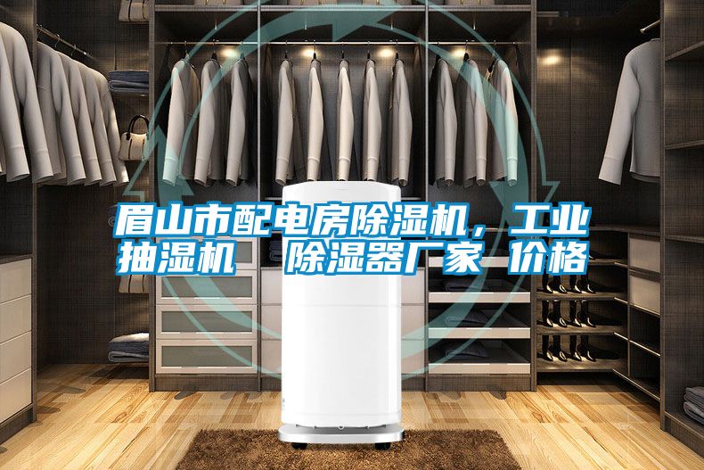 眉山市配電房除濕機(jī)，工業(yè)抽濕機(jī)  除濕器廠家 價(jià)格