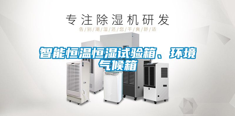 智能恒溫恒濕試驗(yàn)箱、環(huán)境氣候箱