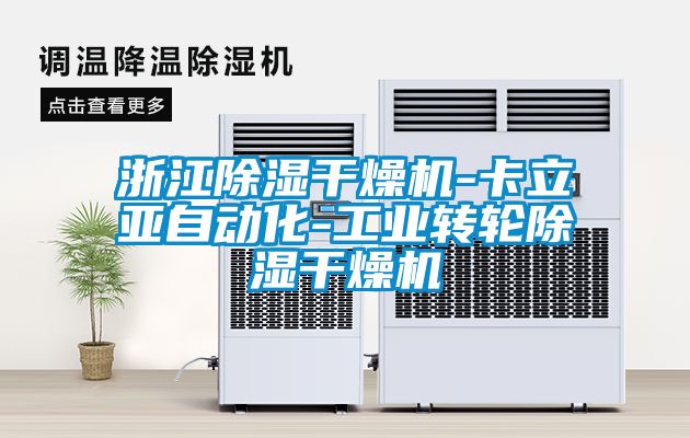 浙江除濕干燥機-卡立亞自動化-工業(yè)轉輪除濕干燥機