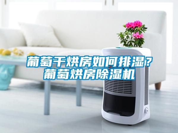 葡萄干烘房如何排濕？葡萄烘房除濕機(jī)