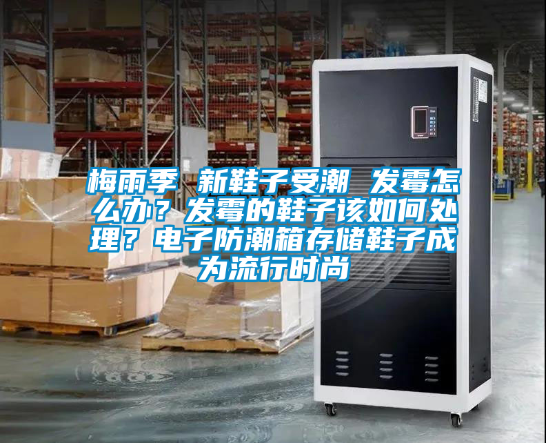 梅雨季 新鞋子受潮 發(fā)霉怎么辦？發(fā)霉的鞋子該如何處理？電子防潮箱存儲(chǔ)鞋子成為流行時(shí)尚