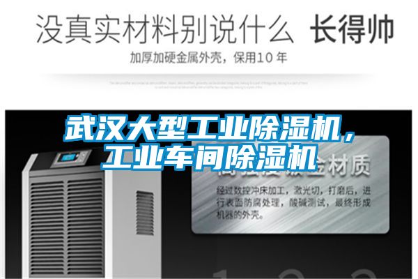 武漢大型工業(yè)除濕機(jī)，工業(yè)車間除濕機(jī)