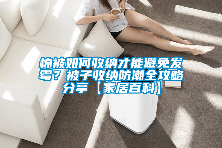 棉被如何收納才能避免發(fā)霉？被子收納防潮全攻略分享【家居百科】