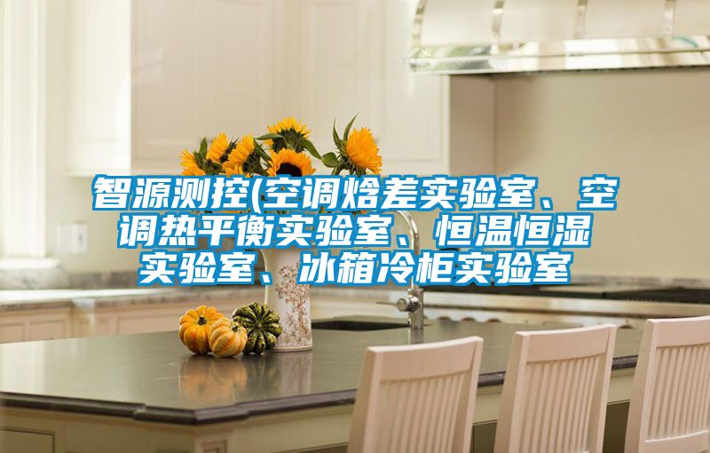 智源測(cè)控(空調(diào)焓差實(shí)驗(yàn)室、空調(diào)熱平衡實(shí)驗(yàn)室、恒溫恒濕實(shí)驗(yàn)室、冰箱冷柜實(shí)驗(yàn)室