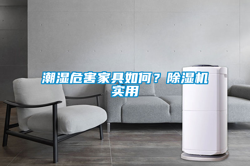 潮濕危害家具如何？除濕機實用