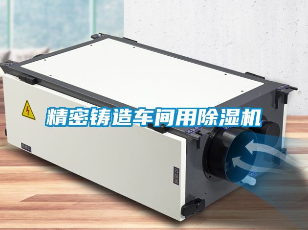 精密鑄造車(chē)間用除濕機(jī)