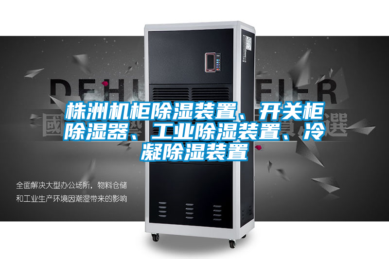 株洲機柜除濕裝置、開關(guān)柜除濕器、工業(yè)除濕裝置、冷凝除濕裝置