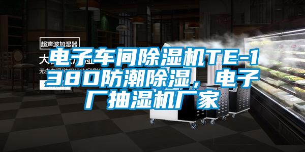 電子車間除濕機(jī)TE-138D防潮除濕，電子廠抽濕機(jī)廠家