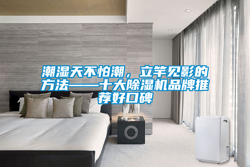 潮濕天不怕潮，立竿見影的方法——十大除濕機(jī)品牌推薦好口碑