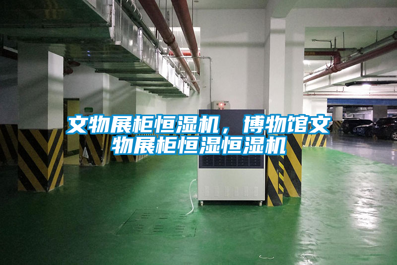 文物展柜恒濕機(jī)，博物館文物展柜恒濕恒濕機(jī)