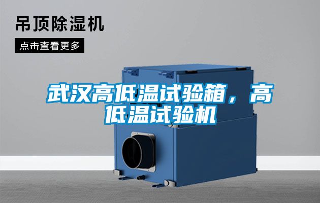 武漢高低溫試驗(yàn)箱，高低溫試驗(yàn)機(jī)