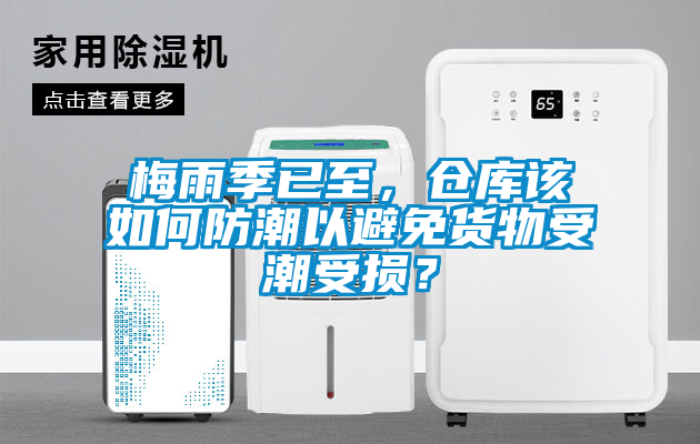 梅雨季已至，倉庫該如何防潮以避免貨物受潮受損？