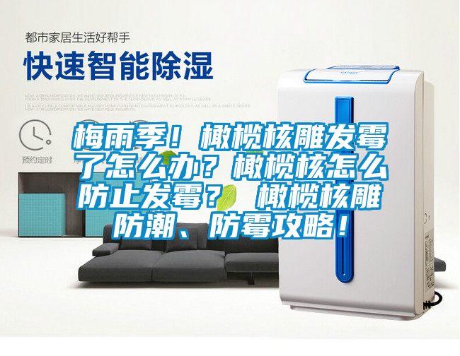 梅雨季！橄欖核雕發(fā)霉了怎么辦？橄欖核怎么防止發(fā)霉？ 橄欖核雕防潮、防霉攻略！