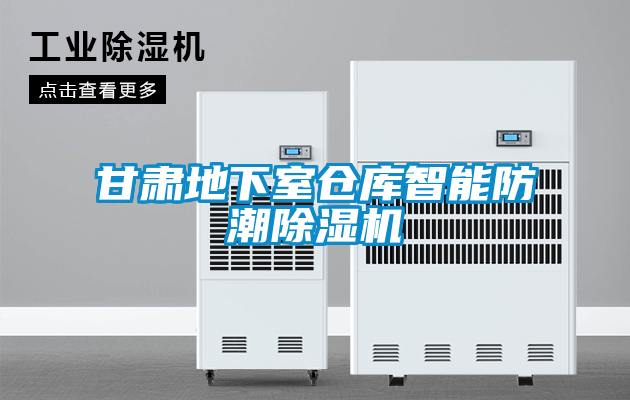 甘肅地下室倉(cāng)庫(kù)智能防潮除濕機(jī)