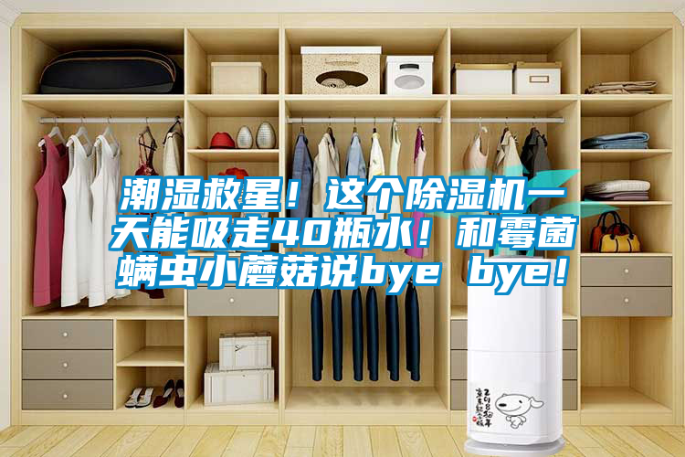 潮濕救星！這個(gè)除濕機(jī)一天能吸走40瓶水！和霉菌螨蟲(chóng)小蘑菇說(shuō)bye bye！