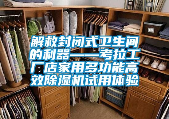 解救封閉式衛(wèi)生間的利器——考拉工廠店家用多功能高效除濕機試用體驗