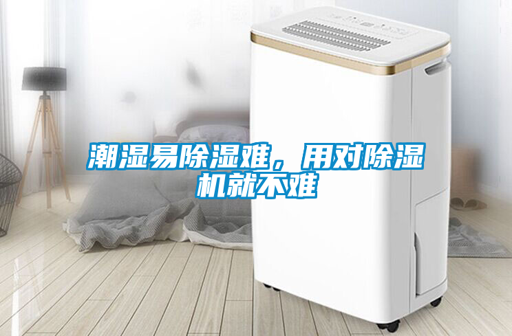 潮濕易除濕難，用對除濕機就不難
