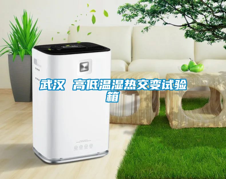 武漢 高低溫濕熱交變試驗(yàn)箱