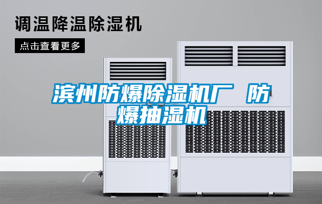 濱州防爆除濕機(jī)廠(chǎng) 防爆抽濕機(jī)