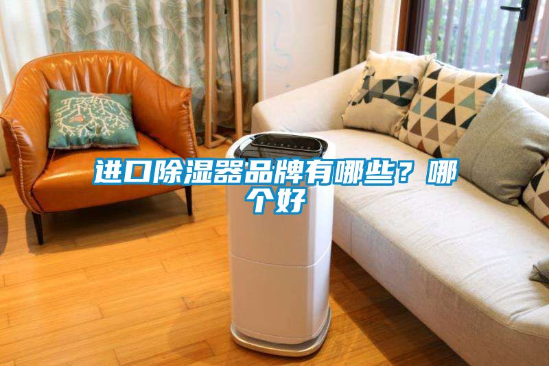進(jìn)口除濕器品牌有哪些？哪個(gè)好
