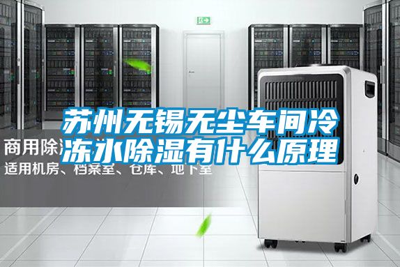 蘇州無(wú)錫無(wú)塵車(chē)間冷凍水除濕有什么原理