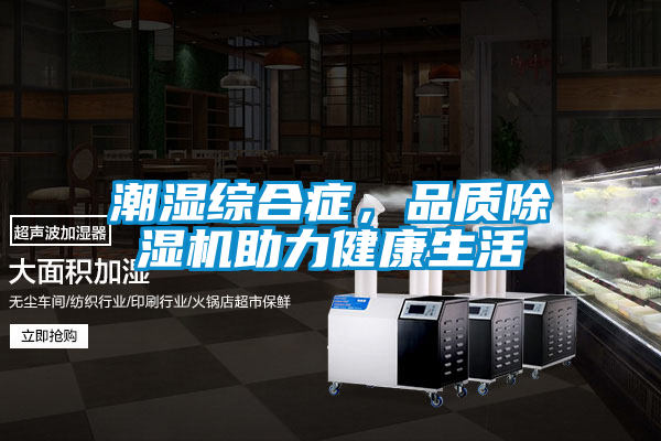 潮濕綜合癥，品質(zhì)除濕機助力健康生活
