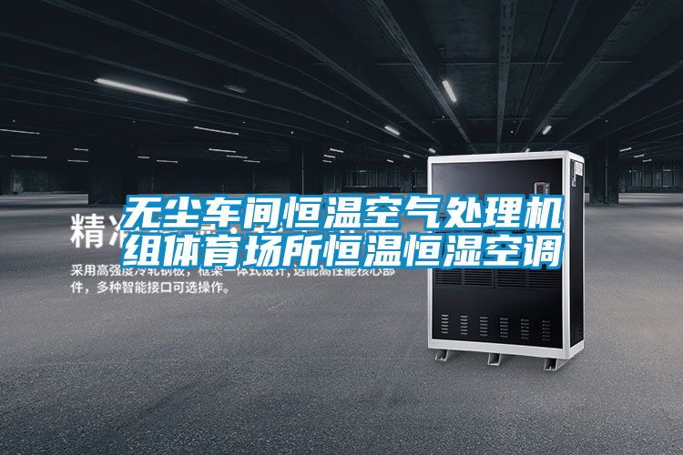 無(wú)塵車(chē)間恒溫空氣處理機(jī)組體育場(chǎng)所恒溫恒濕空調(diào)