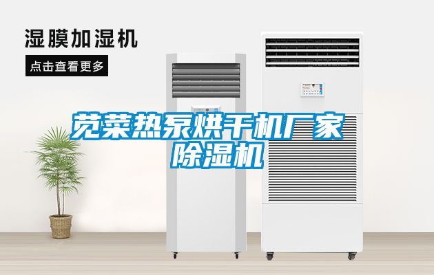 莧菜熱泵烘干機(jī)廠(chǎng)家 除濕機(jī)