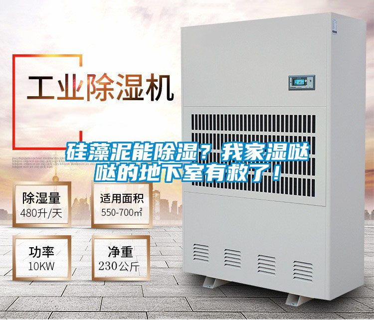 硅藻泥能除濕？我家濕噠噠的地下室有救了！