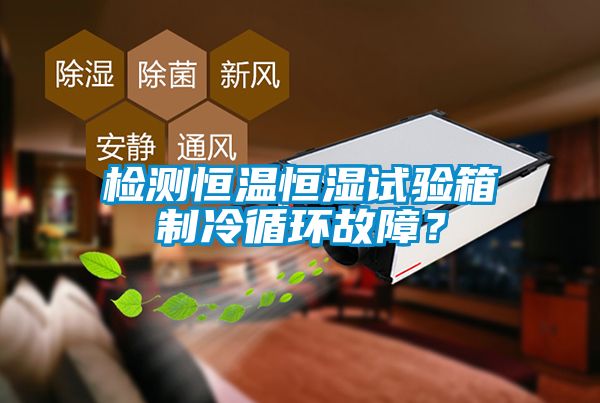檢測(cè)恒溫恒濕試驗(yàn)箱制冷循環(huán)故障？