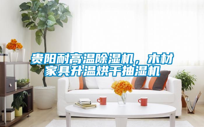 貴陽耐高溫除濕機(jī)，木材家具升溫烘干抽濕機(jī)