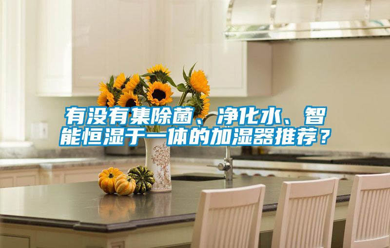 有沒有集除菌、凈化水、智能恒濕于一體的加濕器推薦？