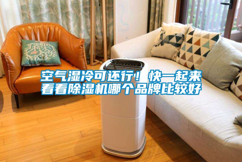 空氣濕冷可還行！快一起來看看除濕機哪個品牌比較好