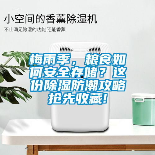 梅雨季，糧食如何安全存儲(chǔ)？這份除濕防潮攻略搶先收藏!