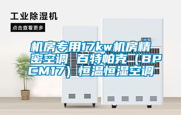 機(jī)房專(zhuān)用17kw機(jī)房精密空調(diào) 百特帕克（BPCM17）恒溫恒濕空調(diào)