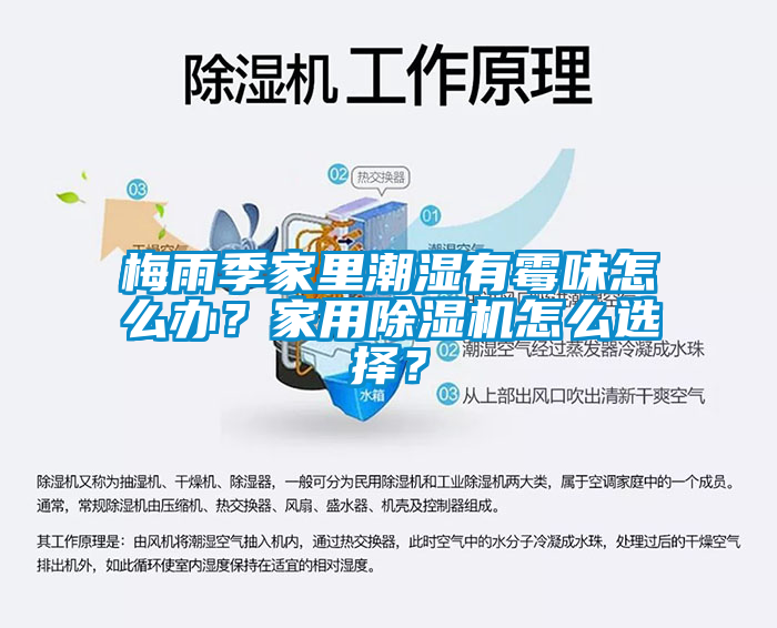 梅雨季家里潮濕有霉味怎么辦？家用除濕機怎么選擇？