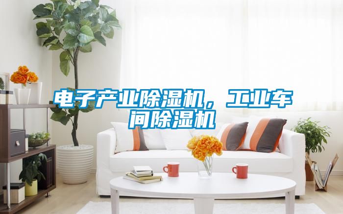 電子產(chǎn)業(yè)除濕機(jī)，工業(yè)車間除濕機(jī)