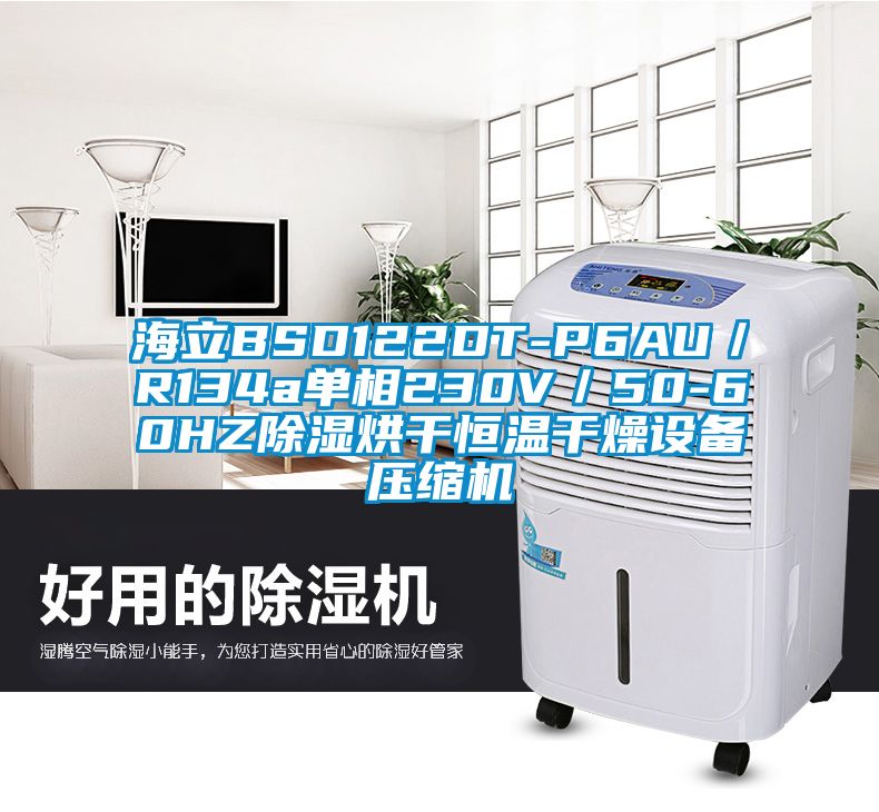 海立BSD122DT-P6AU／R134a單相230V／50-60HZ除濕烘干恒溫干燥設(shè)備壓縮機