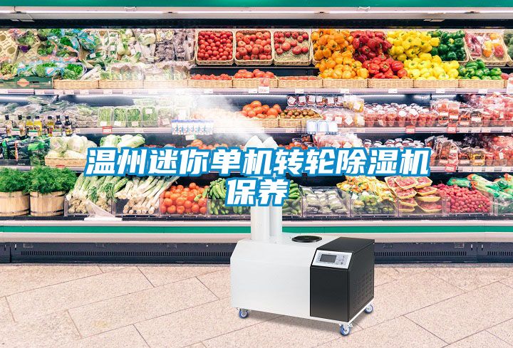 溫州迷你單機轉輪除濕機保養(yǎng)