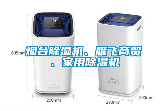 煙臺(tái)除濕機(jī)、雁飛商貿(mào)、家用除濕機(jī)
