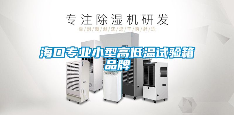 ?？趯I(yè)小型高低溫試驗(yàn)箱品牌