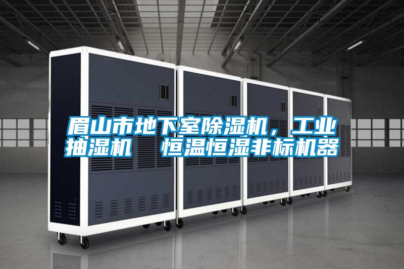 眉山市地下室除濕機，工業(yè)抽濕機  恒溫恒濕非標機器