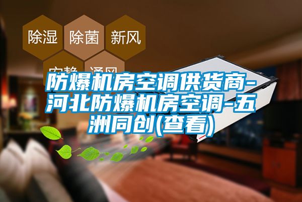 防爆機房空調供貨商-河北防爆機房空調-五洲同創(chuàng)(查看)