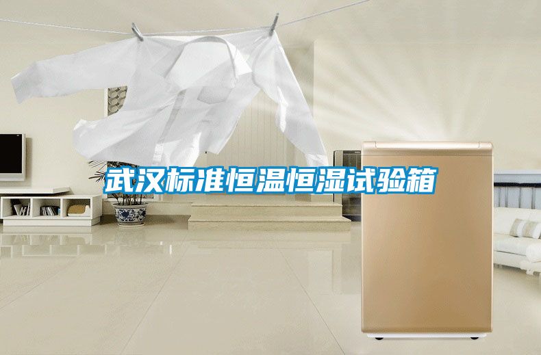 武漢標(biāo)準(zhǔn)恒溫恒濕試驗箱