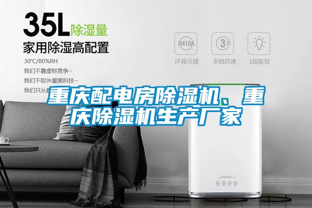 重慶配電房除濕機(jī)、重慶除濕機(jī)生產(chǎn)廠家
