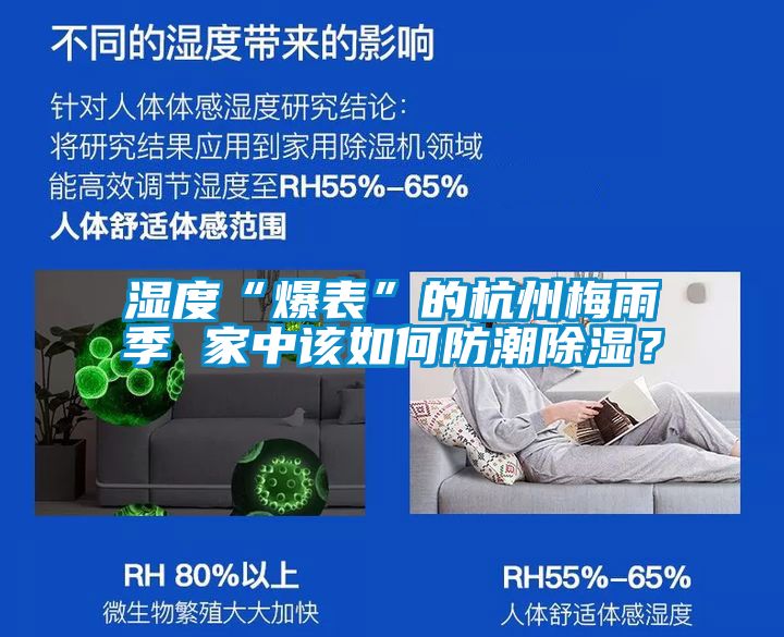 濕度“爆表”的杭州梅雨季 家中該如何防潮除濕？